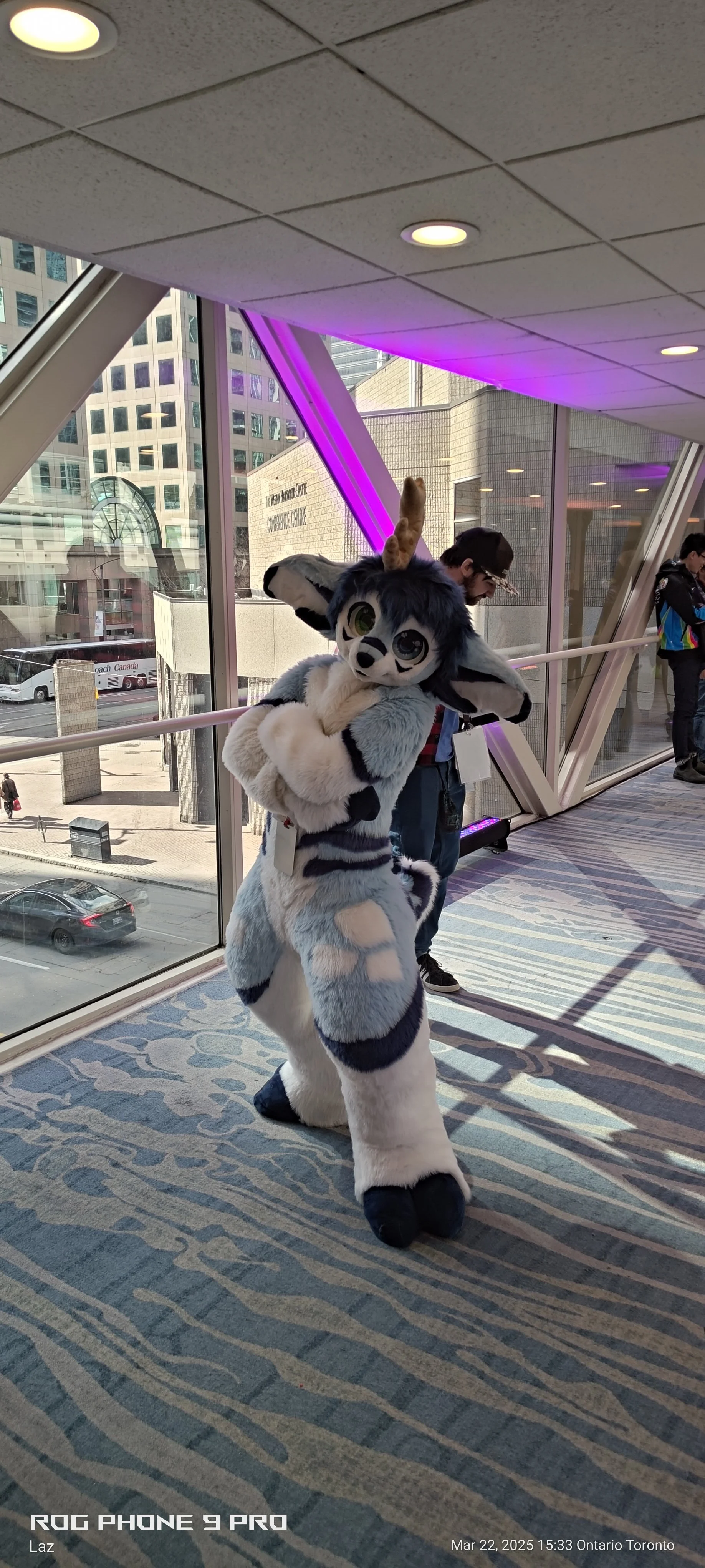 Person in a furry animal costume with large ears, big eyes, and striped tail, standing indoors with large windows, cityscape view, and purple lighting.