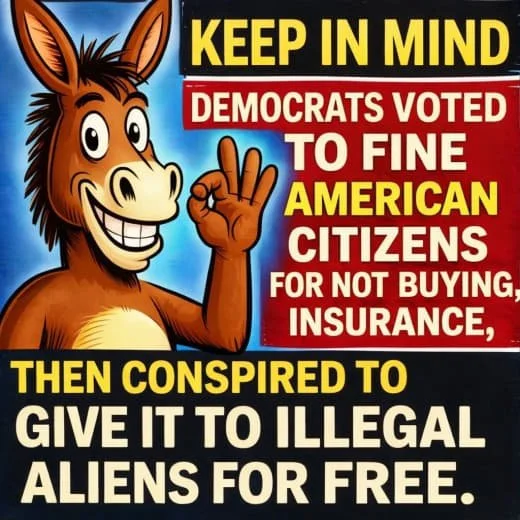Cartoon donkey making an OK hand gesture next to a text warning about Democrats and illegal aliens.
