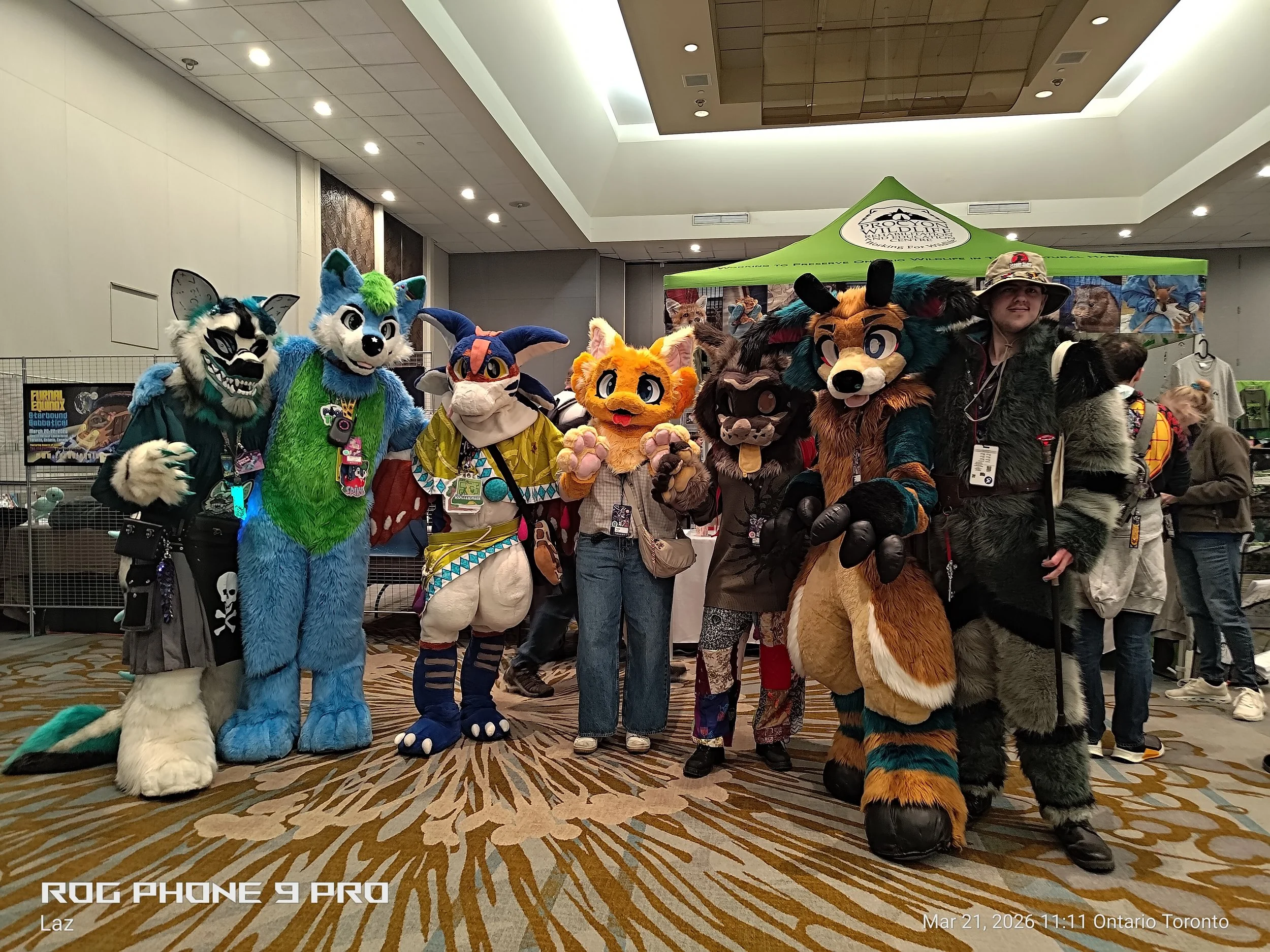 Group of people dressed in colorful animal costumes at a convention. They include a wolf, fox, dragon, and other furry characters, standing on a patterned carpet with a green tent in the background.