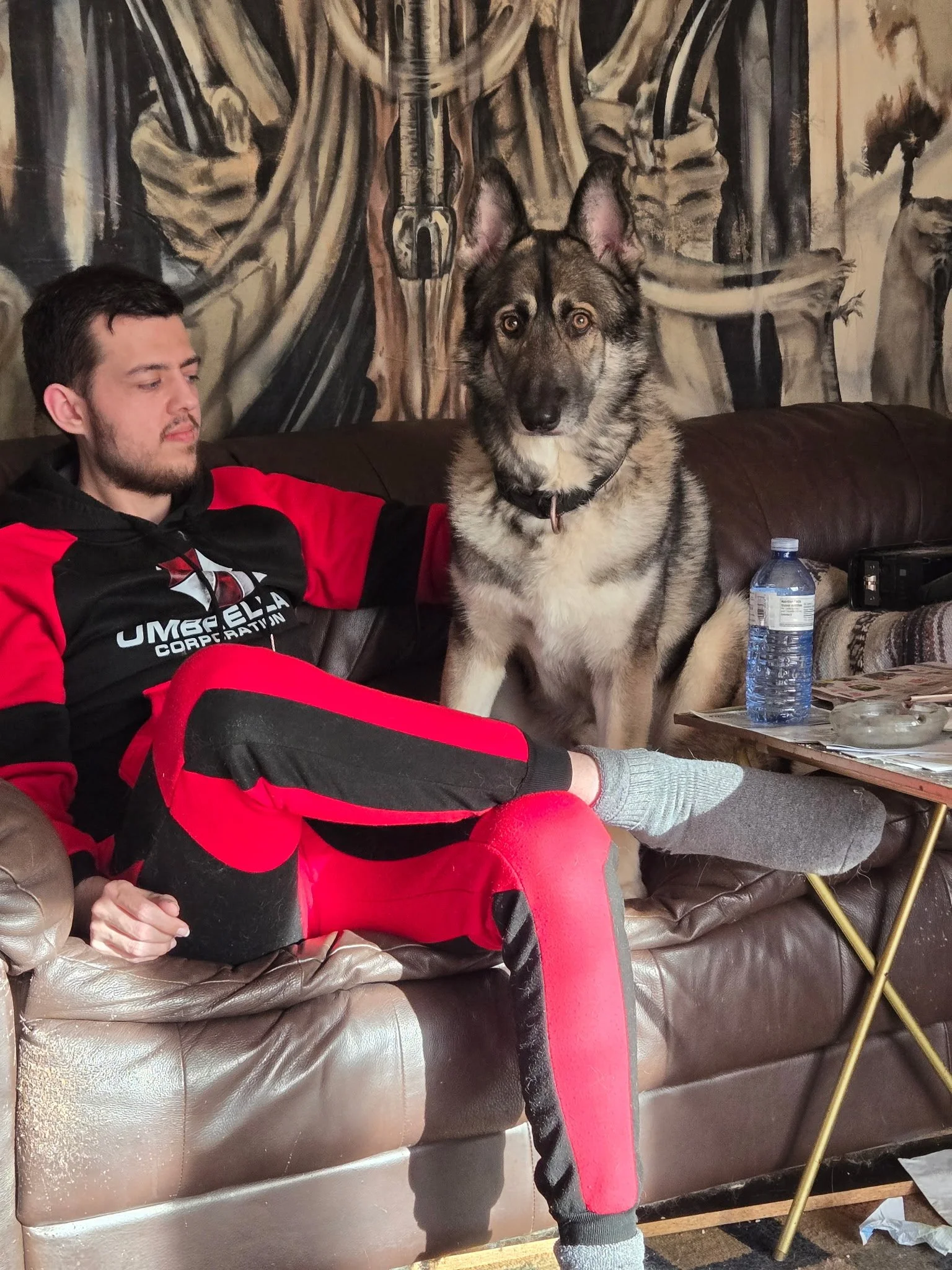 A young man with a beard is sitting on a brown leather couch, wearing a black and red hoodie and red pants. A large Siberian Husky dog with a black and white coat is sitting on the same couch, facing the camera. There is a water bottle and some paper