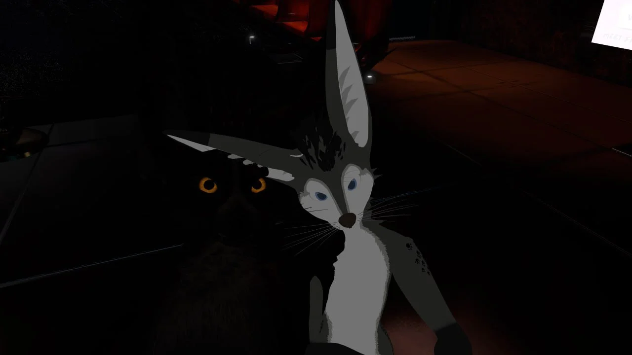 A dark background with a cartoon depiction of a young fox with pointed ears, one eye gray and the other blue, and black and white fur.