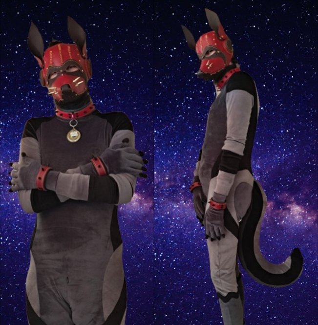 Two individuals dressed in anthropomorphic dog costumes with red masks, collars, and accessories, standing against a starry night sky background.