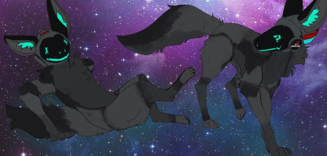 Two anthropomorphic black wolves with glowing teal accents and digital-like facial features, floating in a starry space background.
