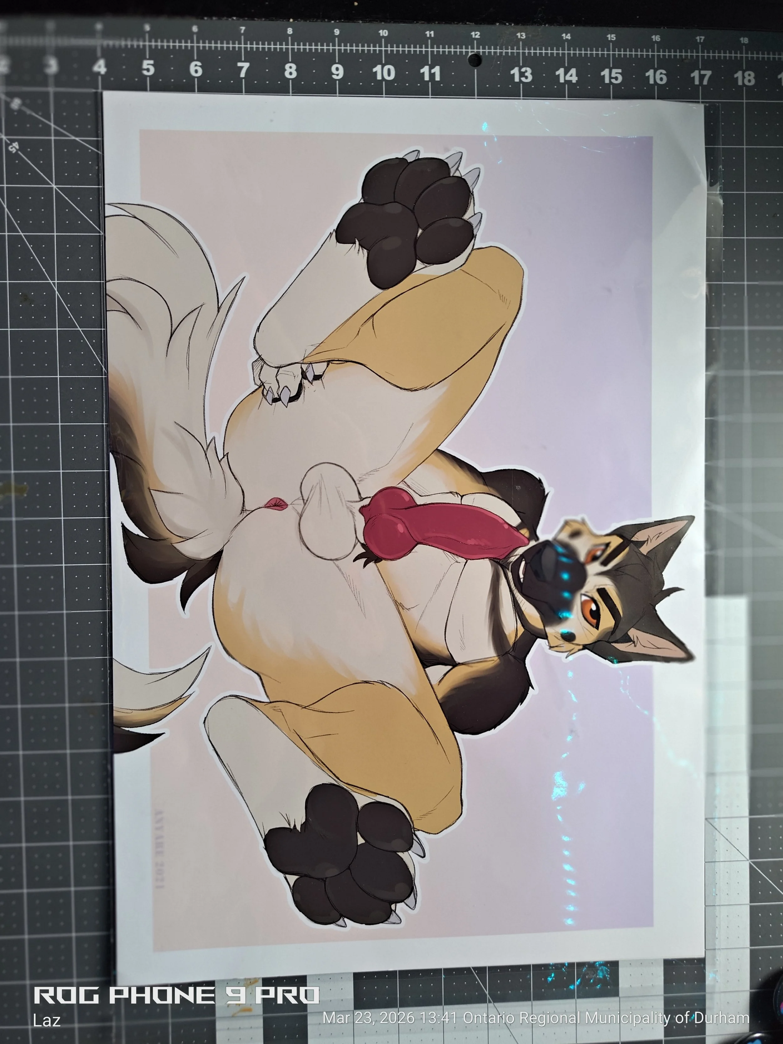 A colorful cartoon-style illustration of a canine character with pointed ears, black markings, and a playful expression, wearing red shorts and sunglasses, set against a light background.