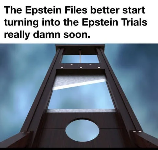 A dark wooden plinko-style game board with a circular hole at the bottom and a narrow opening at the top, against a blue background. Text at the top reads: "The Epstein Files better start turning into the Epstein Trials really damn soon."