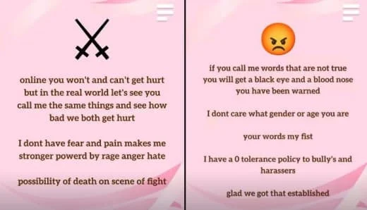 An inspirational quote with a black and pink background, featuring an angry face emoji and text about online versus real-world experiences, hurt feelings, and a message of strength and resilience.