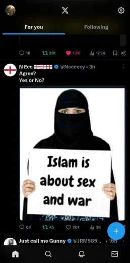 A woman dressed in black covering most of her face, holding a sign that reads "Islam is about sex and war."