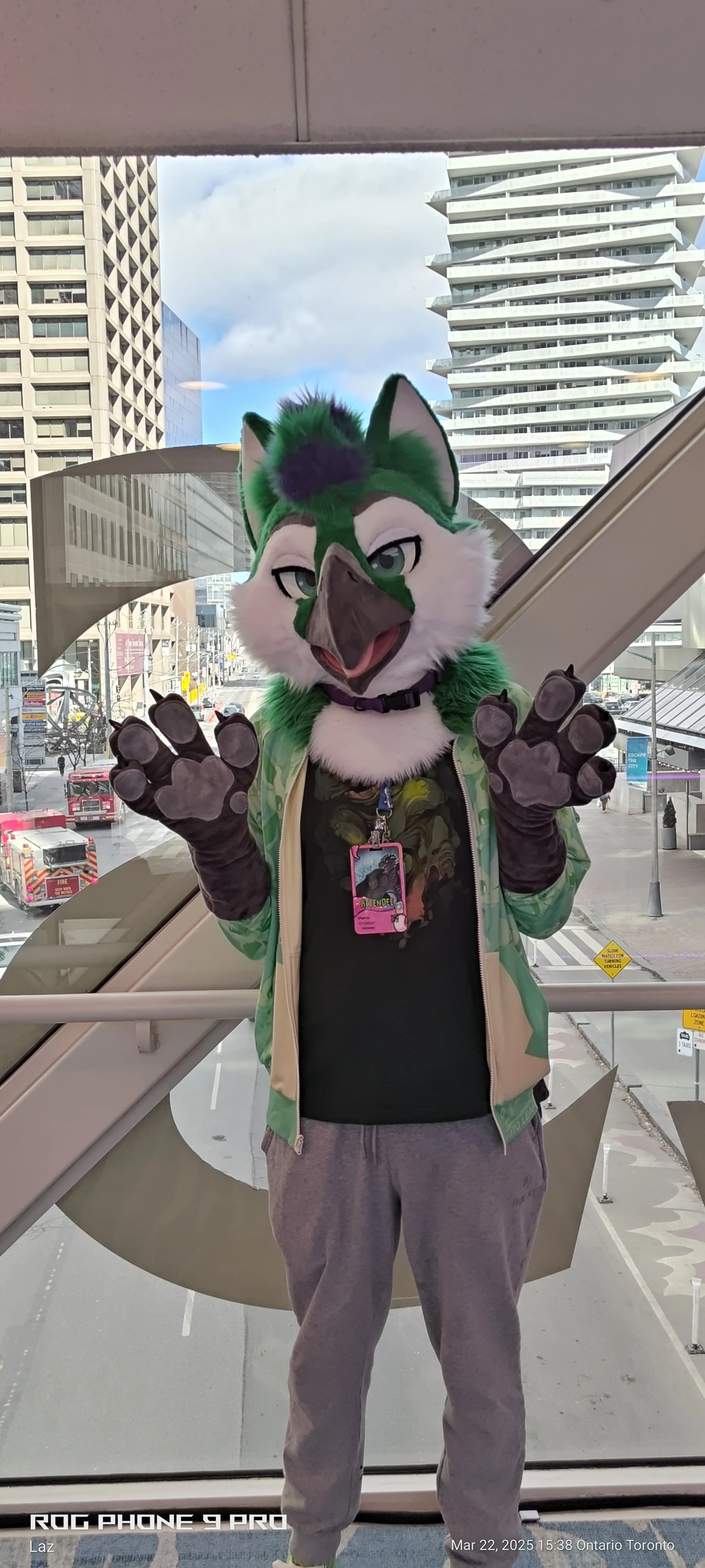 Person in a green and white bird costume with paws up, inside a building with a city view of tall buildings and a street below.