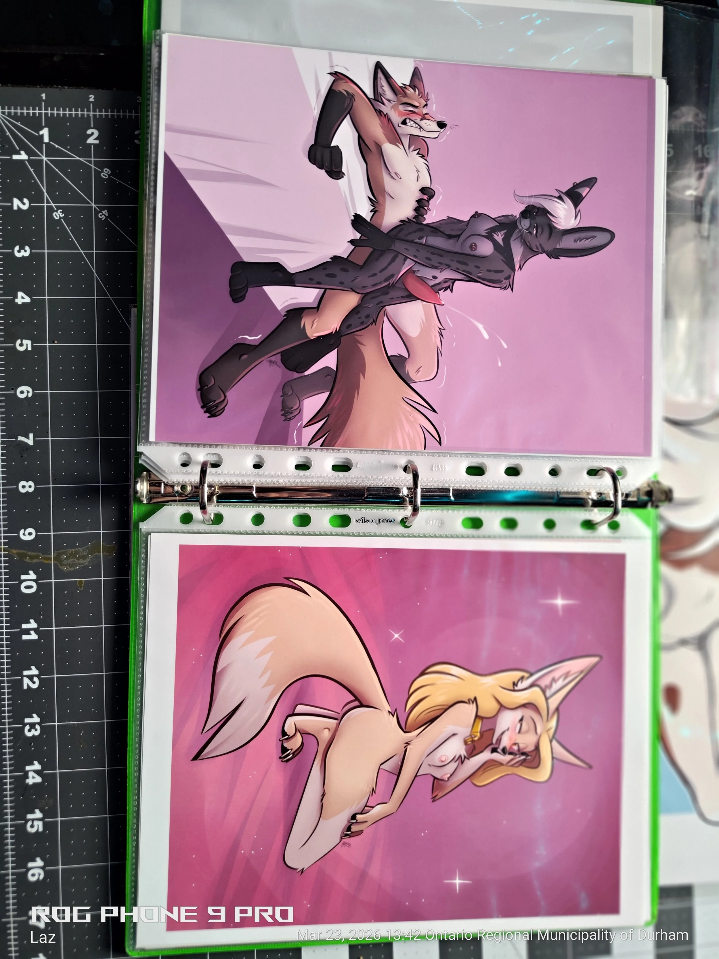 A cartoon illustration of two anthropomorphic fox characters, one with black and grey fur, the other with orange and white fur, standing together against a pink background. The black fox appears shy or contemplative, while the orange fox is smiling c
