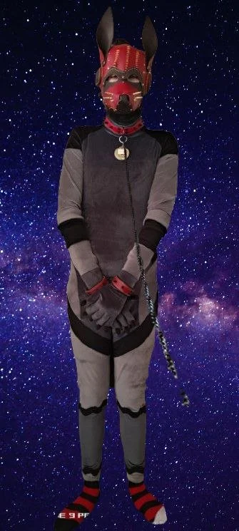 Person in a dog costume with a galaxy background.
