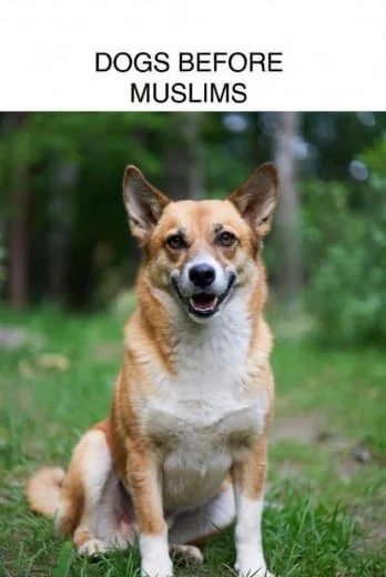 A dog sitting on grass in a park with trees in the background, with text above that reads 'Dogs Before Muslims.'