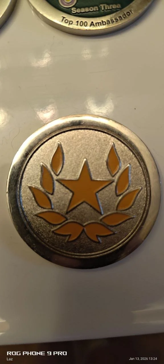Close-up of a metallic badge with a gold star surrounded by laurel leaves, attached to a surface.