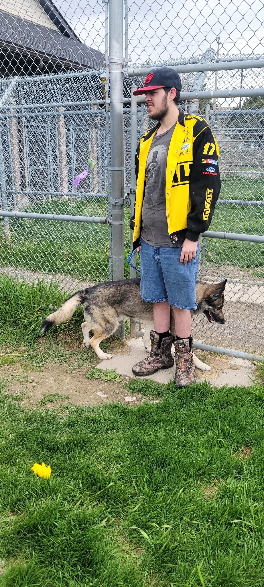 A young man standing outside by a chain-link fence with a husky dog. The man is wearing a black and yellow racing jacket, denim shorts, camouflage boots, a black and red baseball cap, and is holding a leash. The husky is standing next to him, sniffin