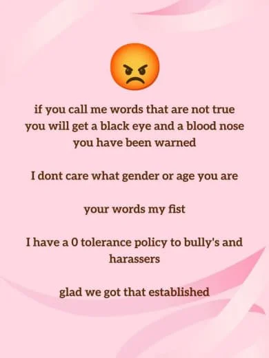 A pink background with a typed message and an angry face emoji at the top. The message warns against calling people offensive words, stating that the speaker will react with anger and has zero tolerance for bullies and harassers.