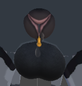 Screenshot 2026-05-23 191452.png