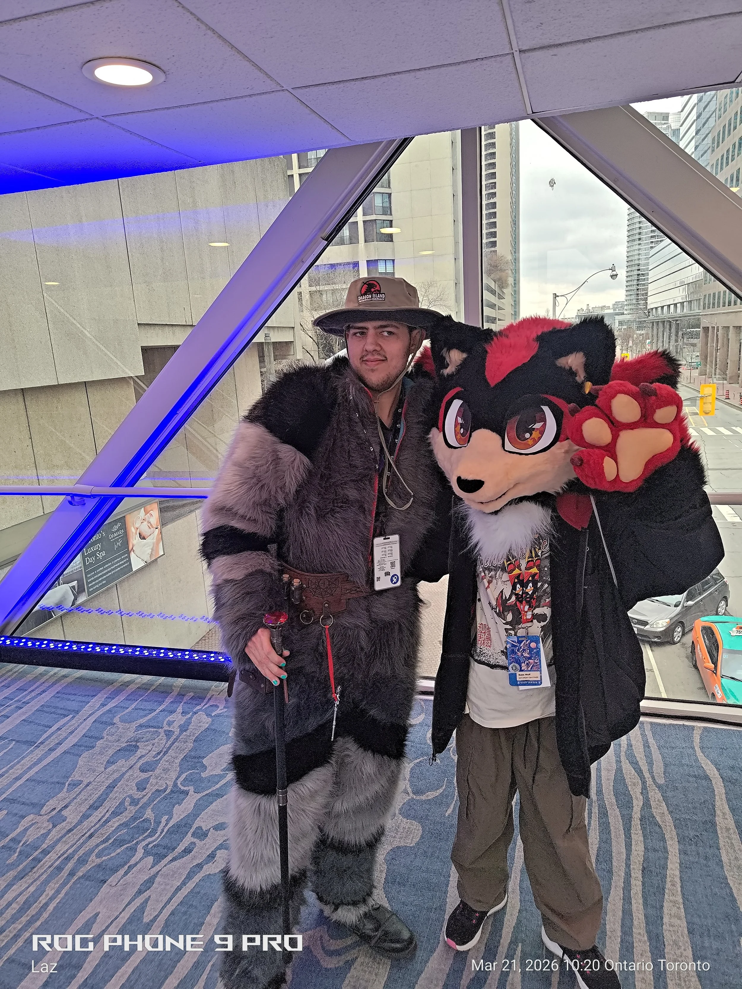 Two individuals dressed in animal costumes posing for a photo inside a modern urban building with large glass windows. One person is dressed as a wolf with a black, gray, and white furry costume and a costume with a hat, while the other is a person i