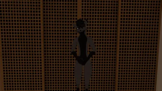 Silhouette of a person standing in front of a wooden lattice wall.