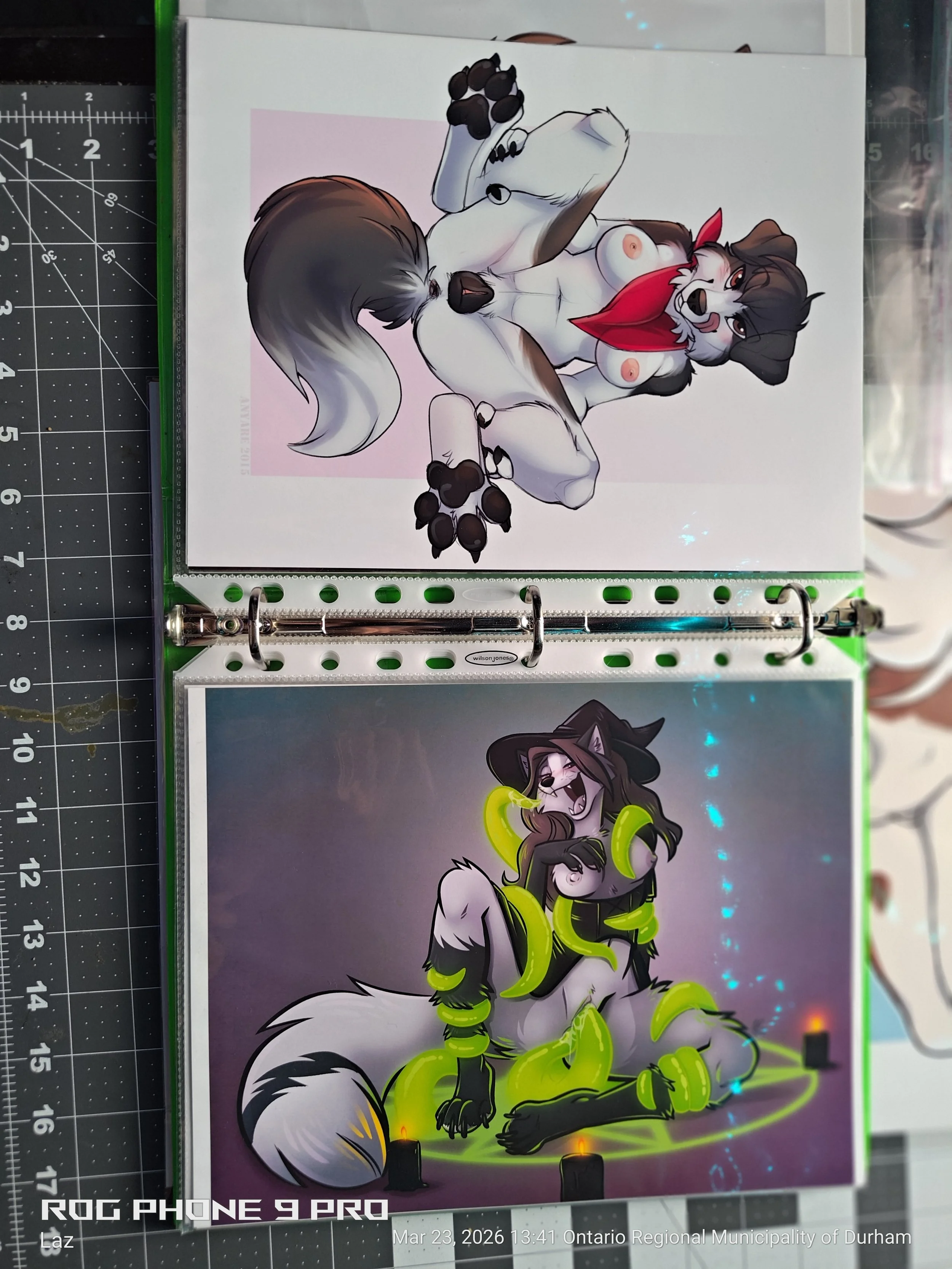 An digital illustration of a female anthropomorphic wolf character with gray and white fur, black hair, and black paws, sitting on a glowing green portal surrounded by candles. The character has a revealing outfit, with a red scarf around her neck, a