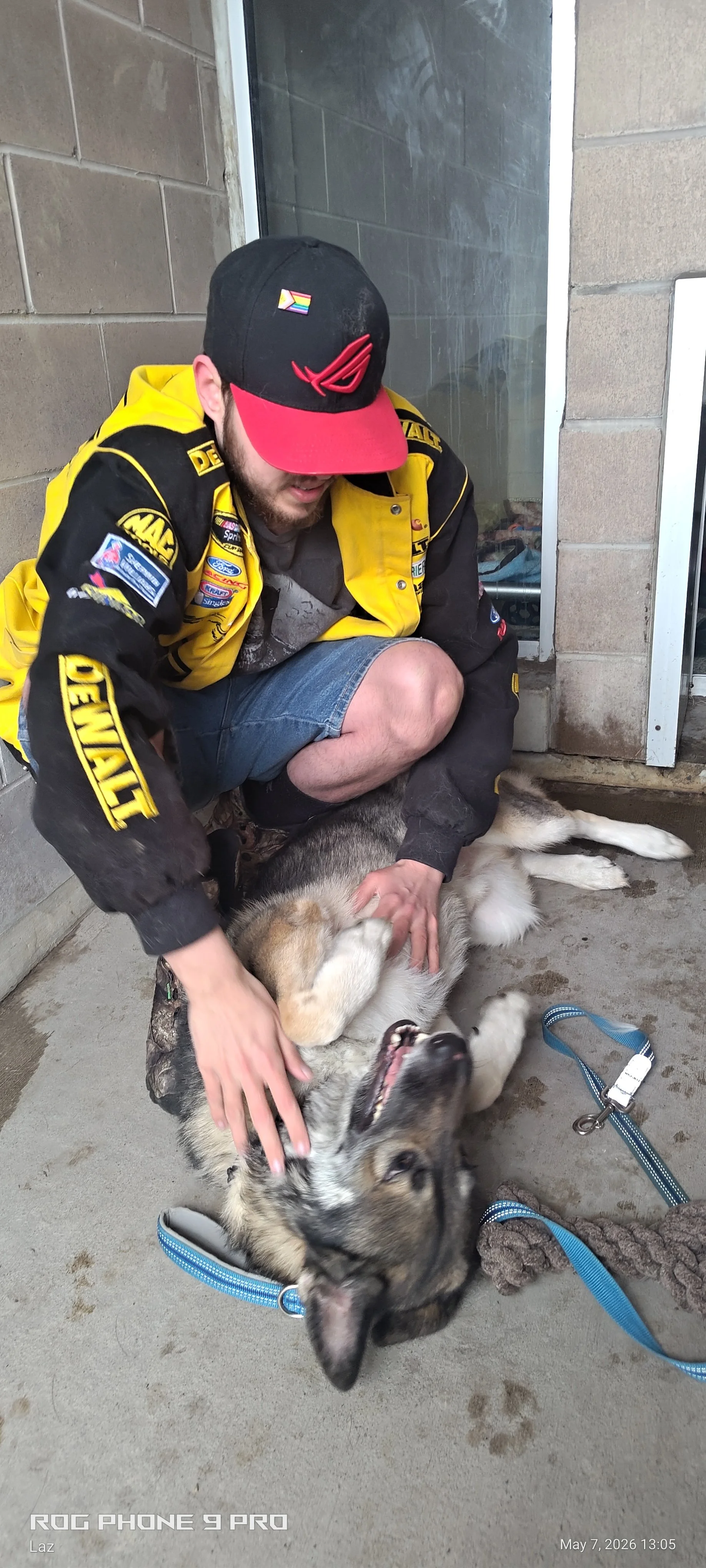 A man wearing a black cap with a rainbow flag, a yellow and black racing jacket with patches, and denim shorts, is petting a large dog lying on the ground. The dog appears relaxed and has a harness with a leash attached. The setting is a concrete are