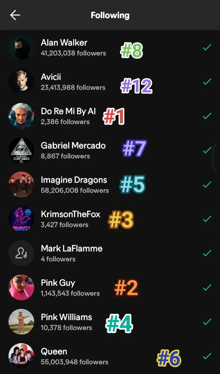 Screenshot of a social media follow list showing nine accounts, each with their profile pictures, follower counts, and assigned ranking numbers.
