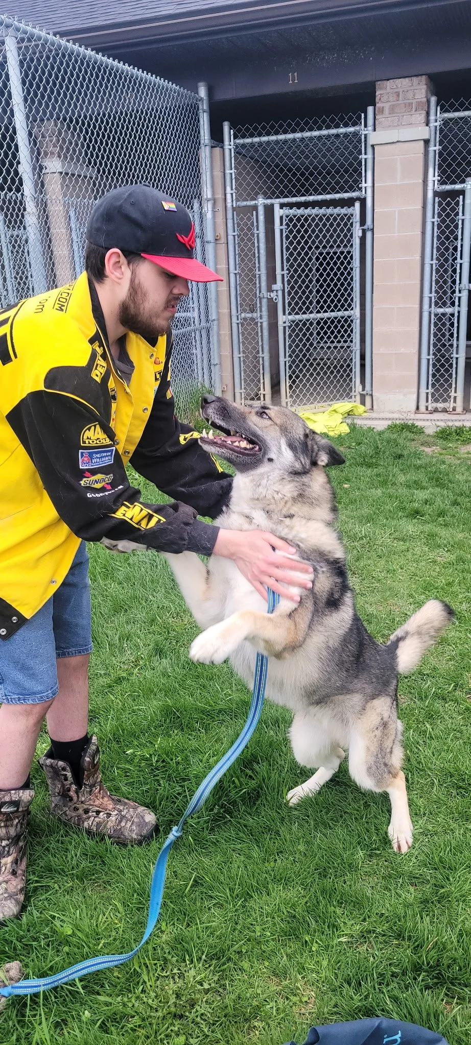 A man in a racing jacket and cap is playing with a young husky dog outside near a fenced area.