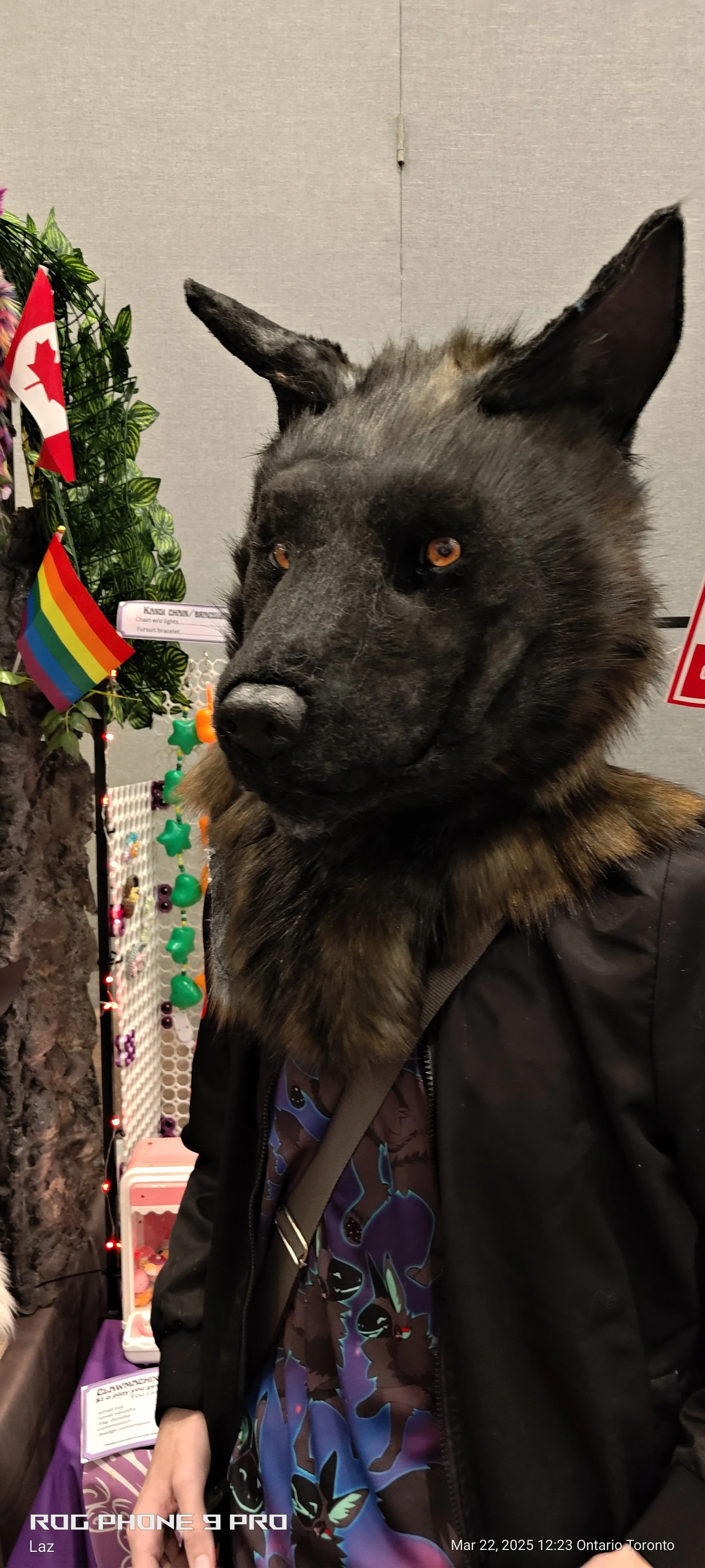 Person with a dog mask or costume, black with pointy ears, standing indoors at a festive event with Canadian and rainbow pride flags, decorative lights, and toys in the background.
