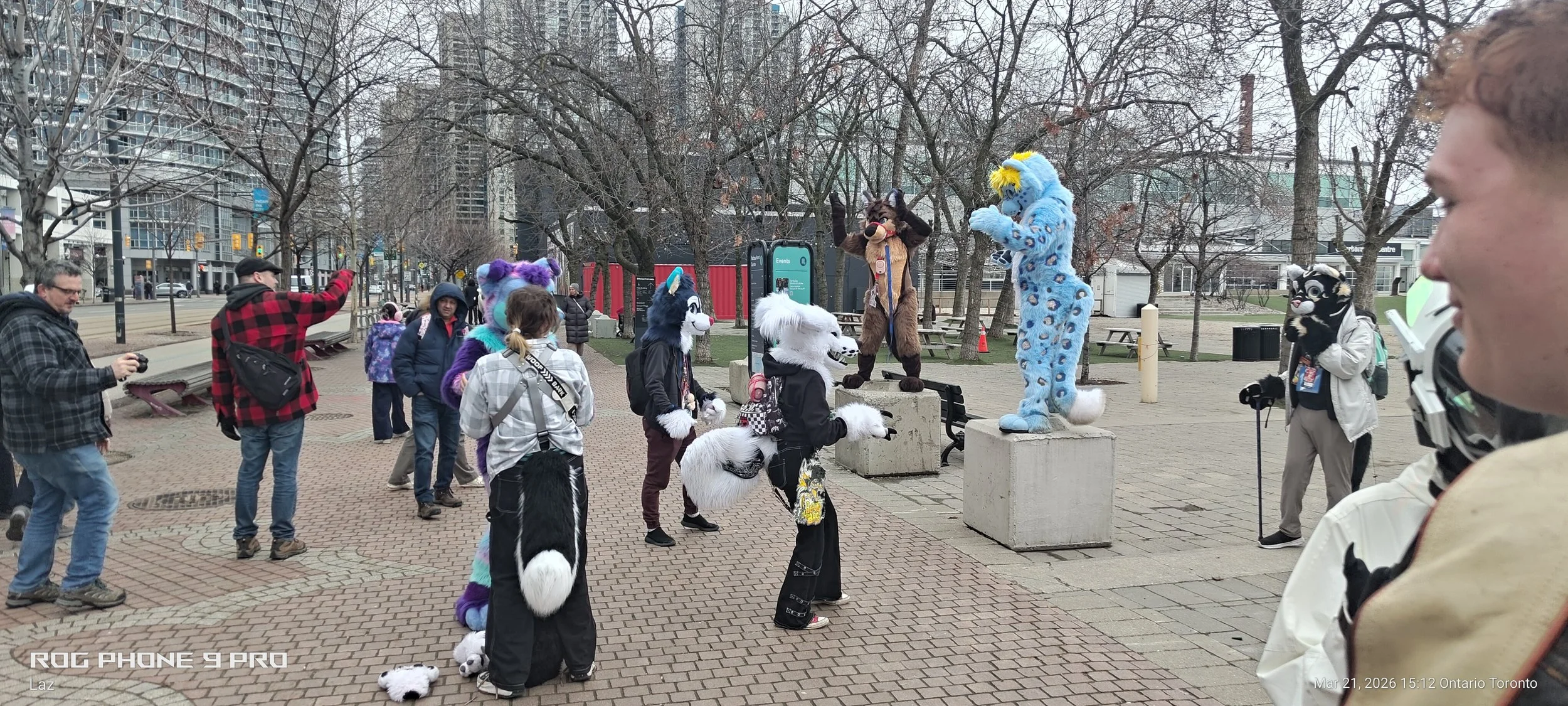 People dressed in colorful animal costumes, called furries, gathered in a park for a photoshoot or event, with some standing on concrete blocks and others holding plush toys. The scene is set in an urban park with leafless trees and tall buildings in