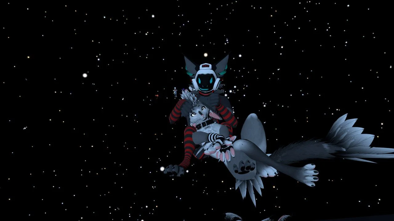 Two anthropomorphic characters, one with grey fur and striped limbs, and the other with black fur and a helmet, floating in space surrounded by stars.