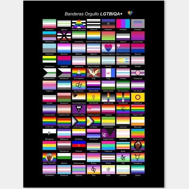 A black poster displays various rainbow pride flags representing different LGBTQIA+ identities and communities, labeled with their names in Spanish, including bisexual, lesbian, transgender, non-binary, and many others.