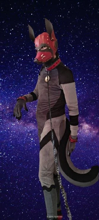 Person in an anthropomorphic fox costume against a starry night sky background.