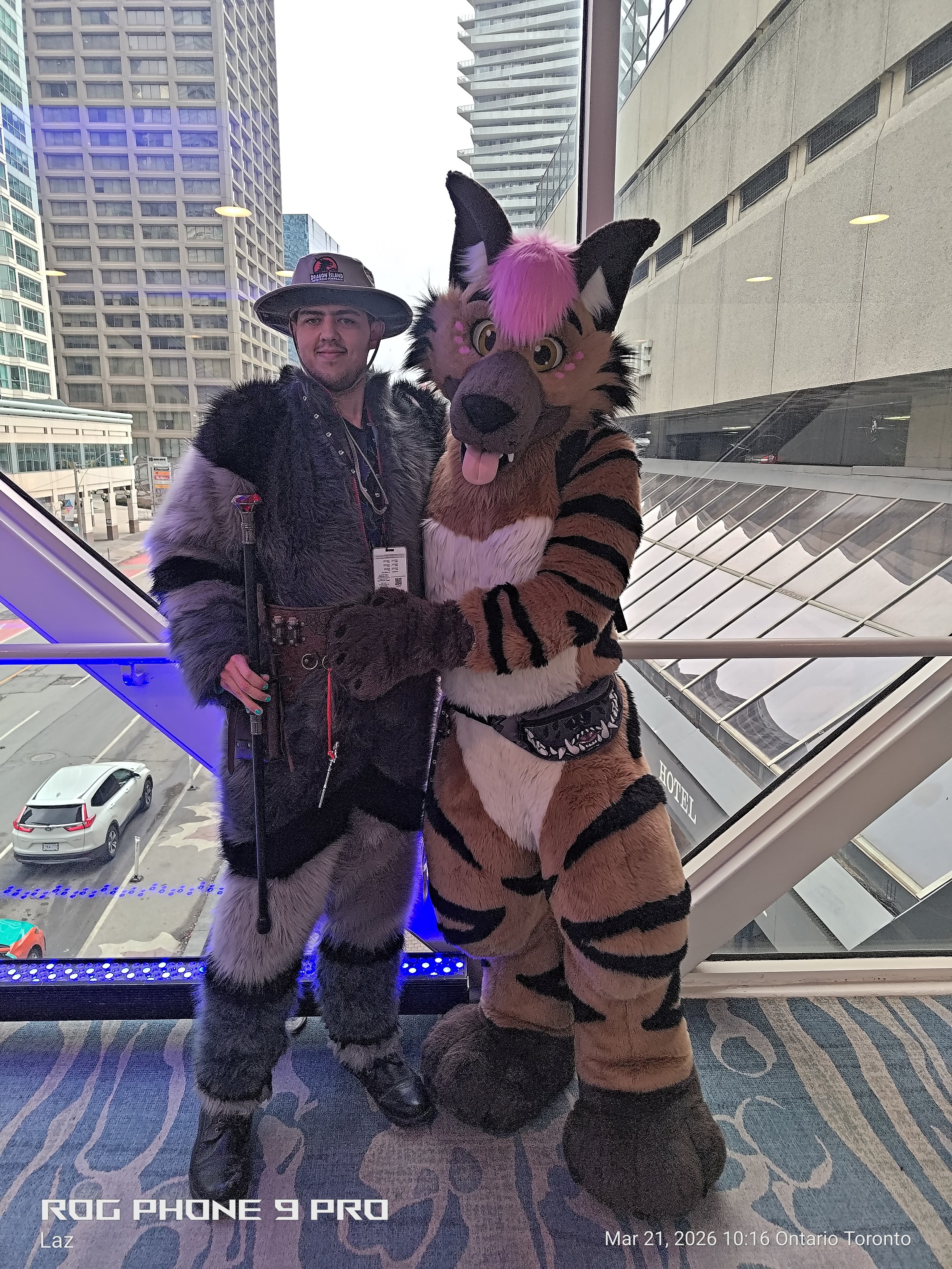 A person dressed in a furry wolf costume and another in a tiger costume posing together in front of a glass window with a cityscape view of tall buildings and parked cars below.
