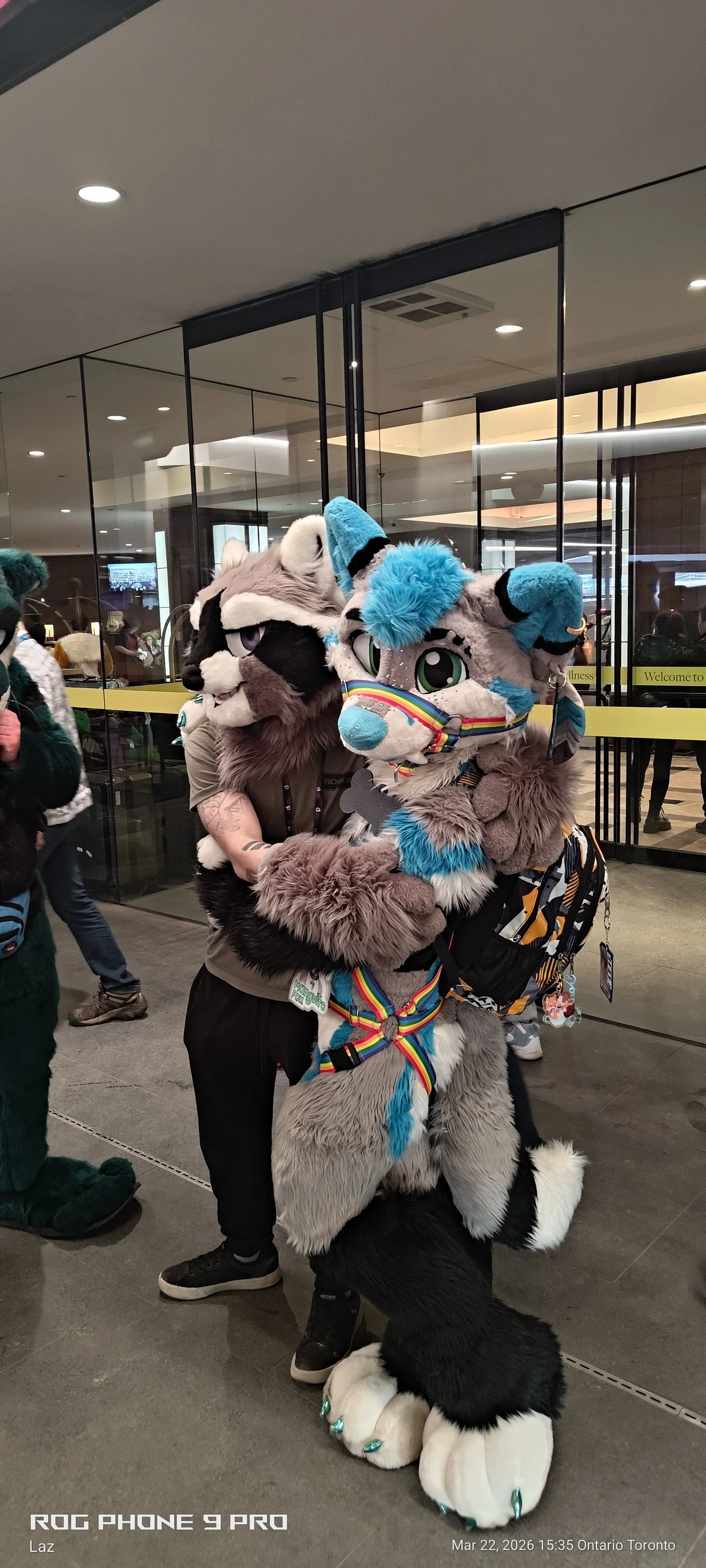 Two people in colorful furry animal costumes, embracing each other, with a glass door and people in the background.