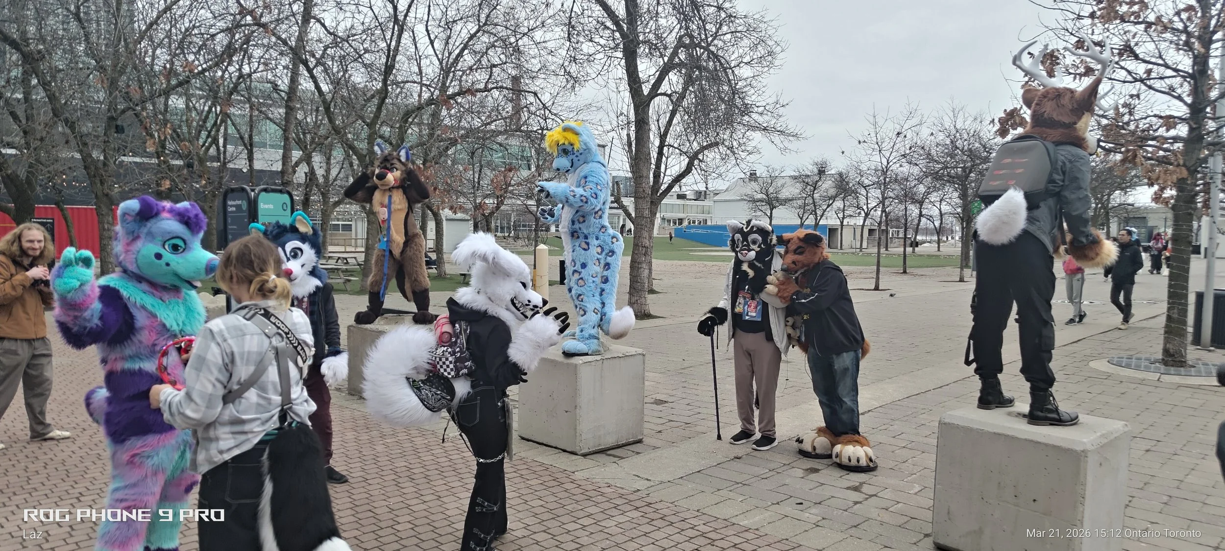 People and costumed characters at an outdoor furry convention in a park on a cloudy day, with trees and buildings in the background.