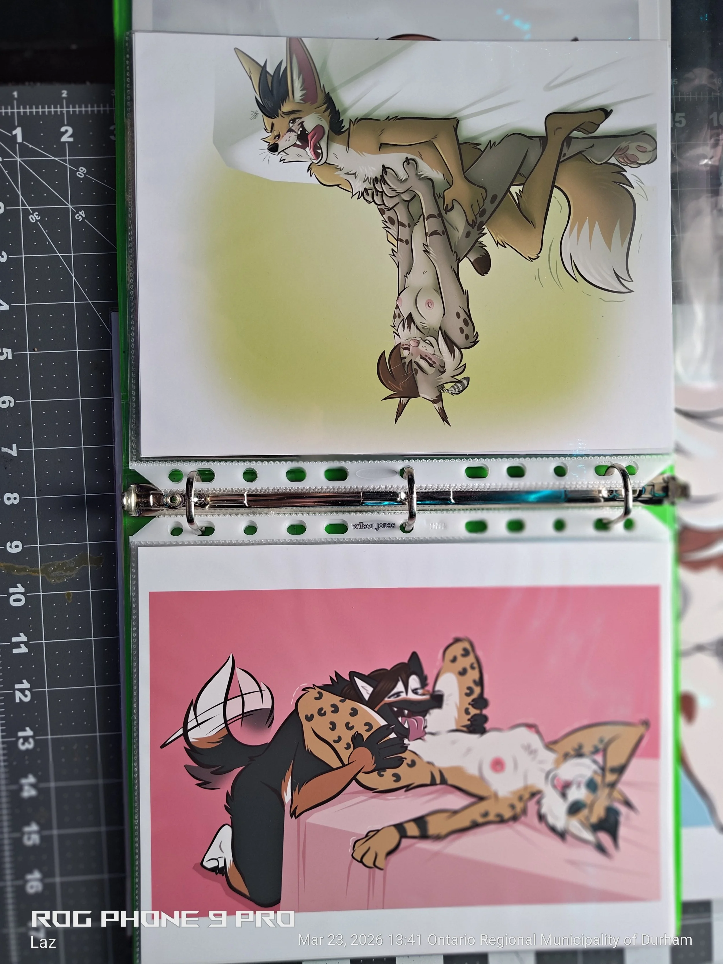 Illustration of a playful scene with anthropomorphic cats, one with black and white fur and the other with a tan and black spotted coat, depicted with exaggerated expressions, on a pink background.