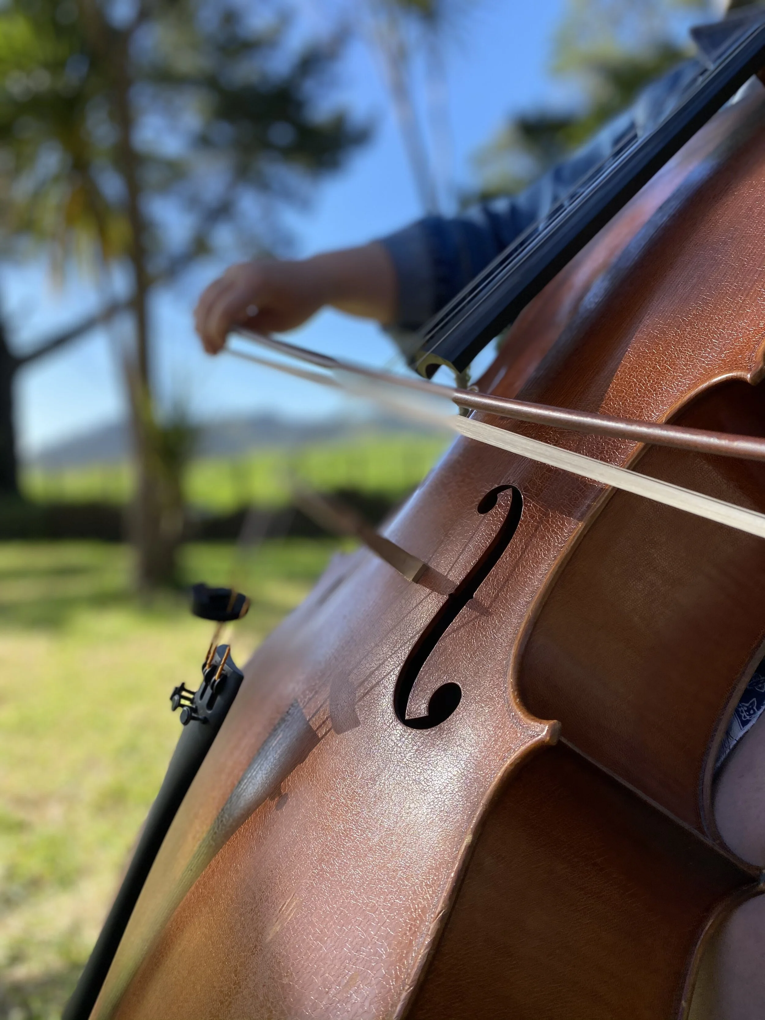 Close-up of a violin with a person's hand playing it outdoors, background shows trees and blue sky.