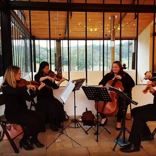 Four female musicians playing string instruments in a modern, glass-walled room with a scenic outdoor view.