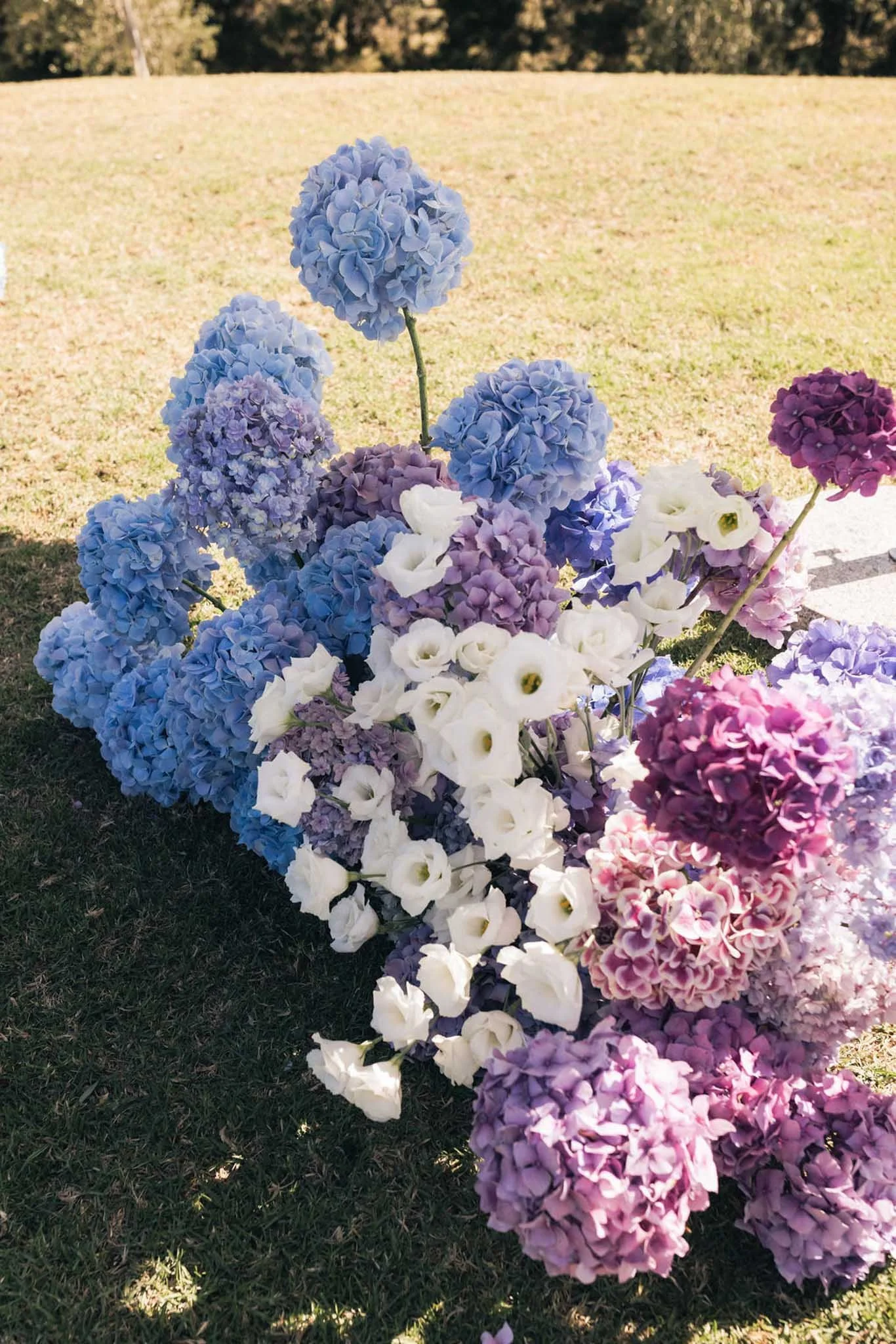 Colorful hydrangea flowers in blue, purple, white, and pink on a grassy outdoor area with trees in the background.