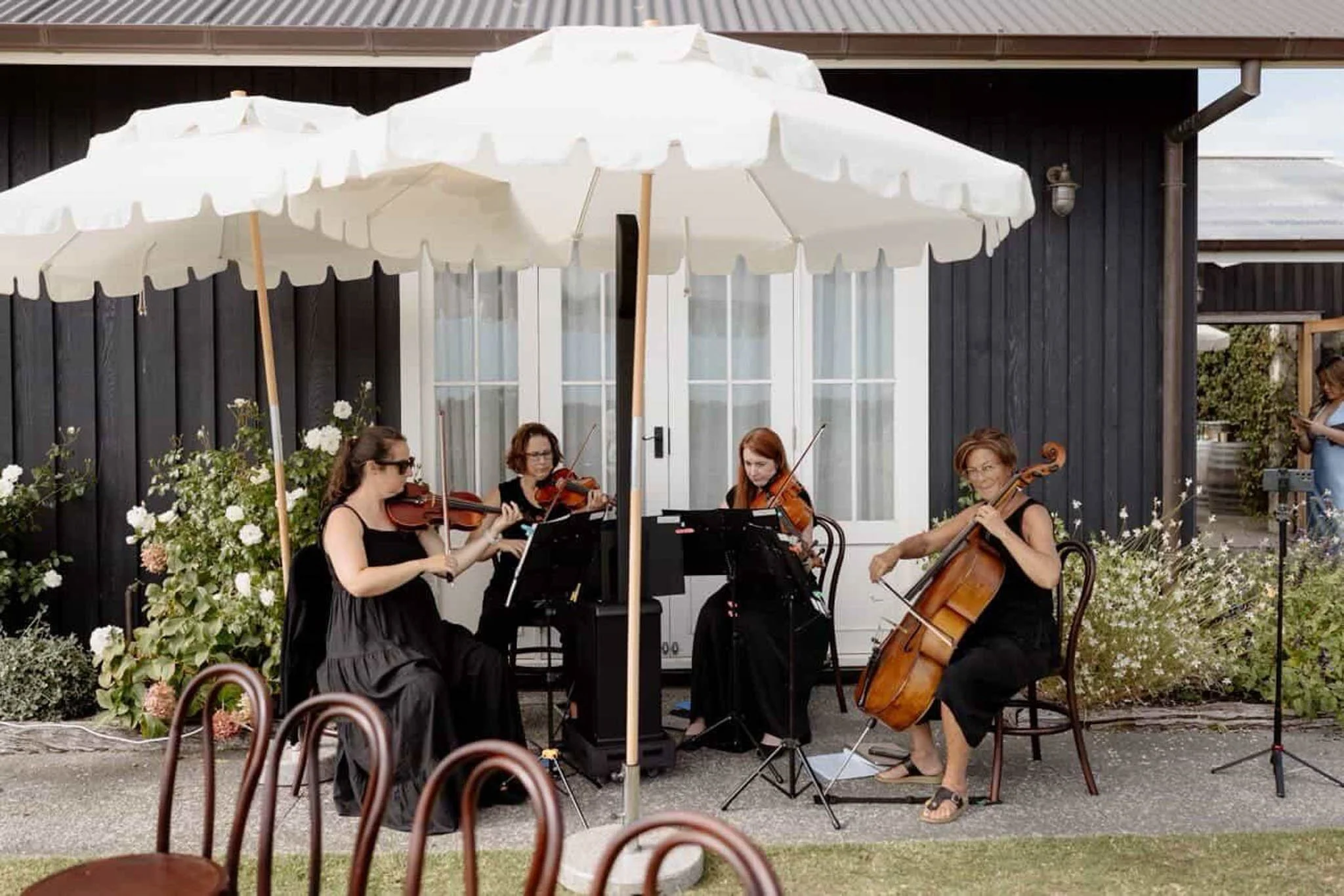 An outdoor musical performance with four women playing string instruments, including violins and a cello, under a large white patio umbrella, in front of a black building with white window frames, surrounded by flowers.