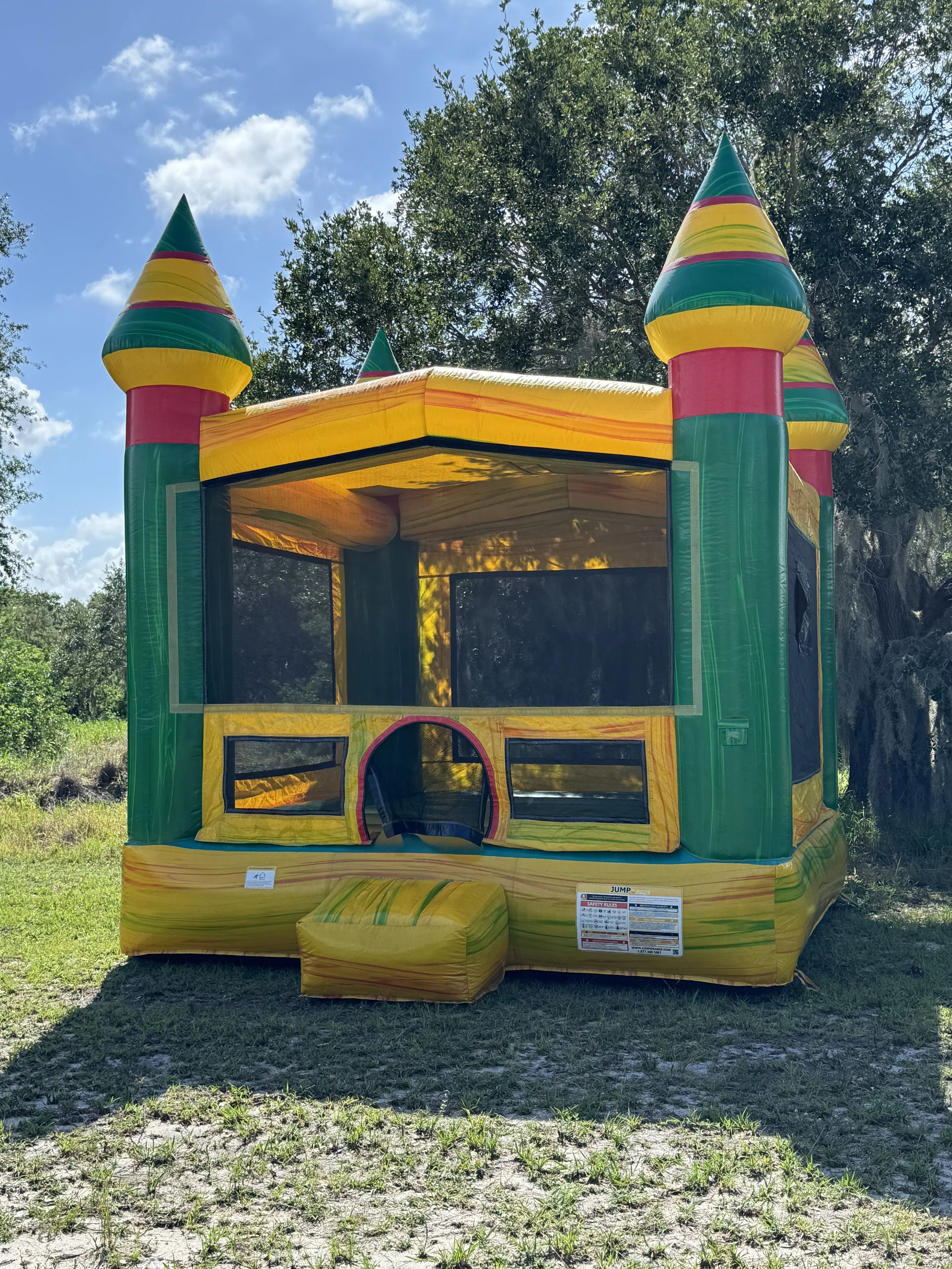 Fiesta Bounce 2 in 1