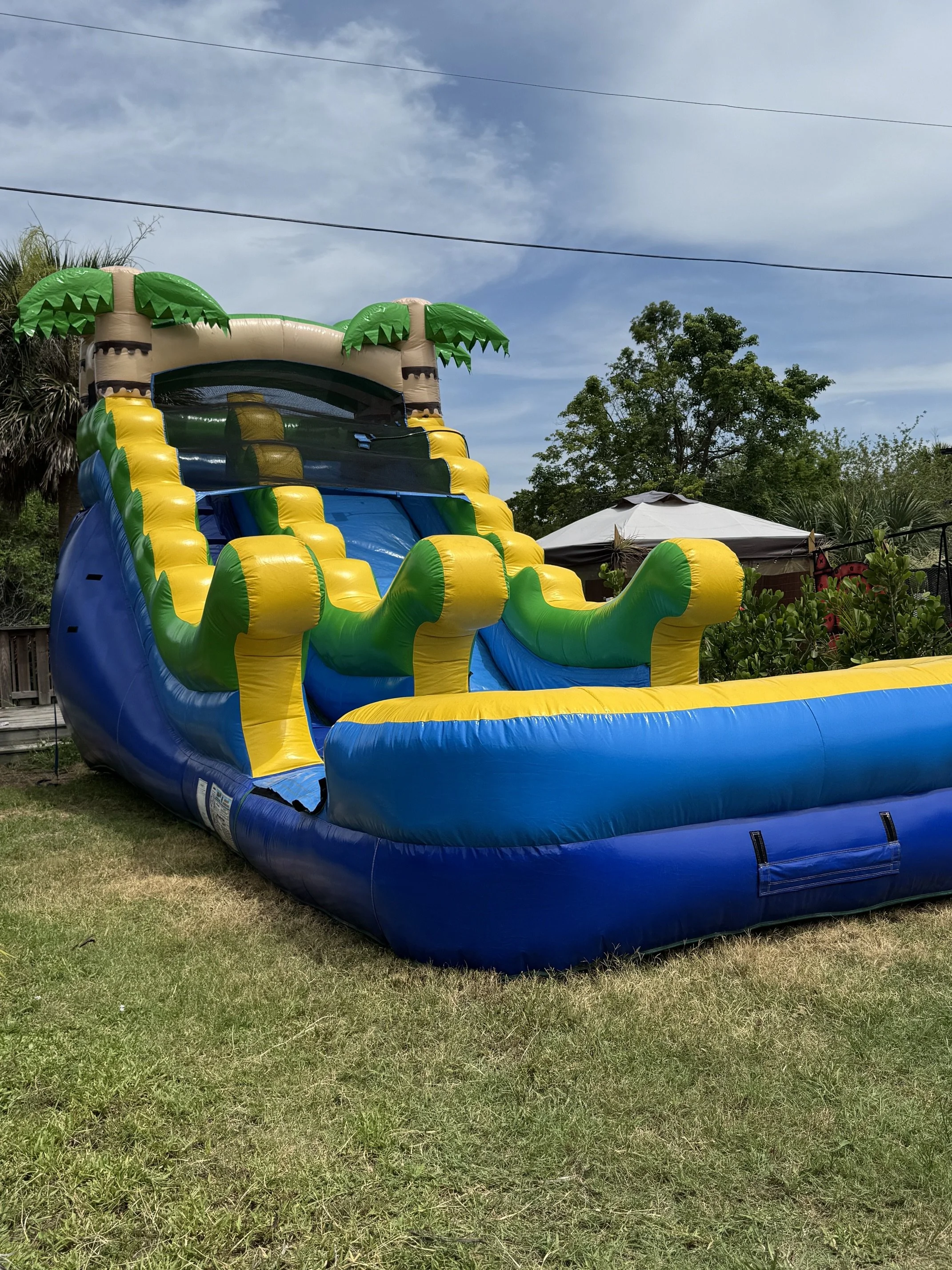 Single Lane Tropical Slide