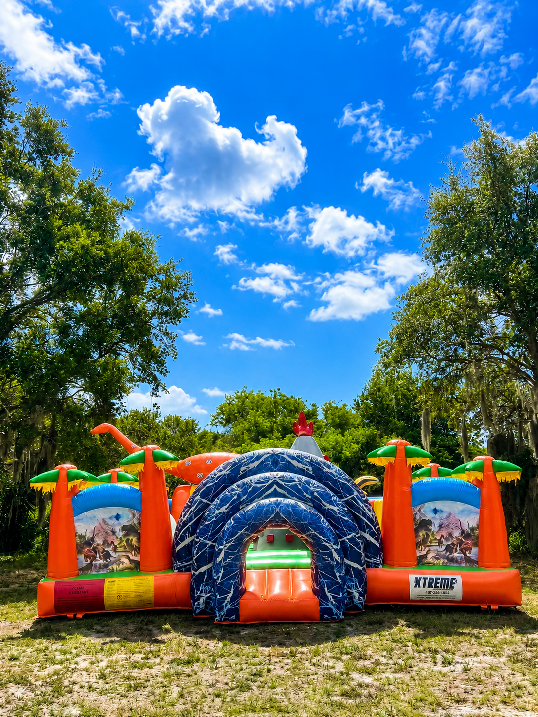 Dinoland Jump n' Play