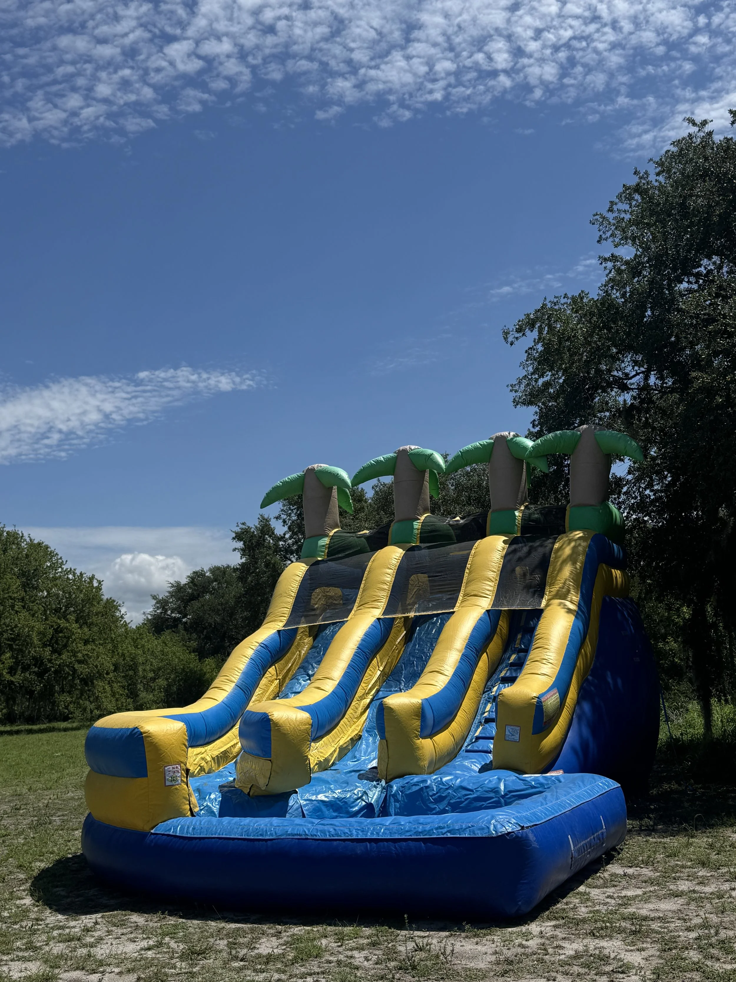 Tropical Two Lane Slide Wet/Dry