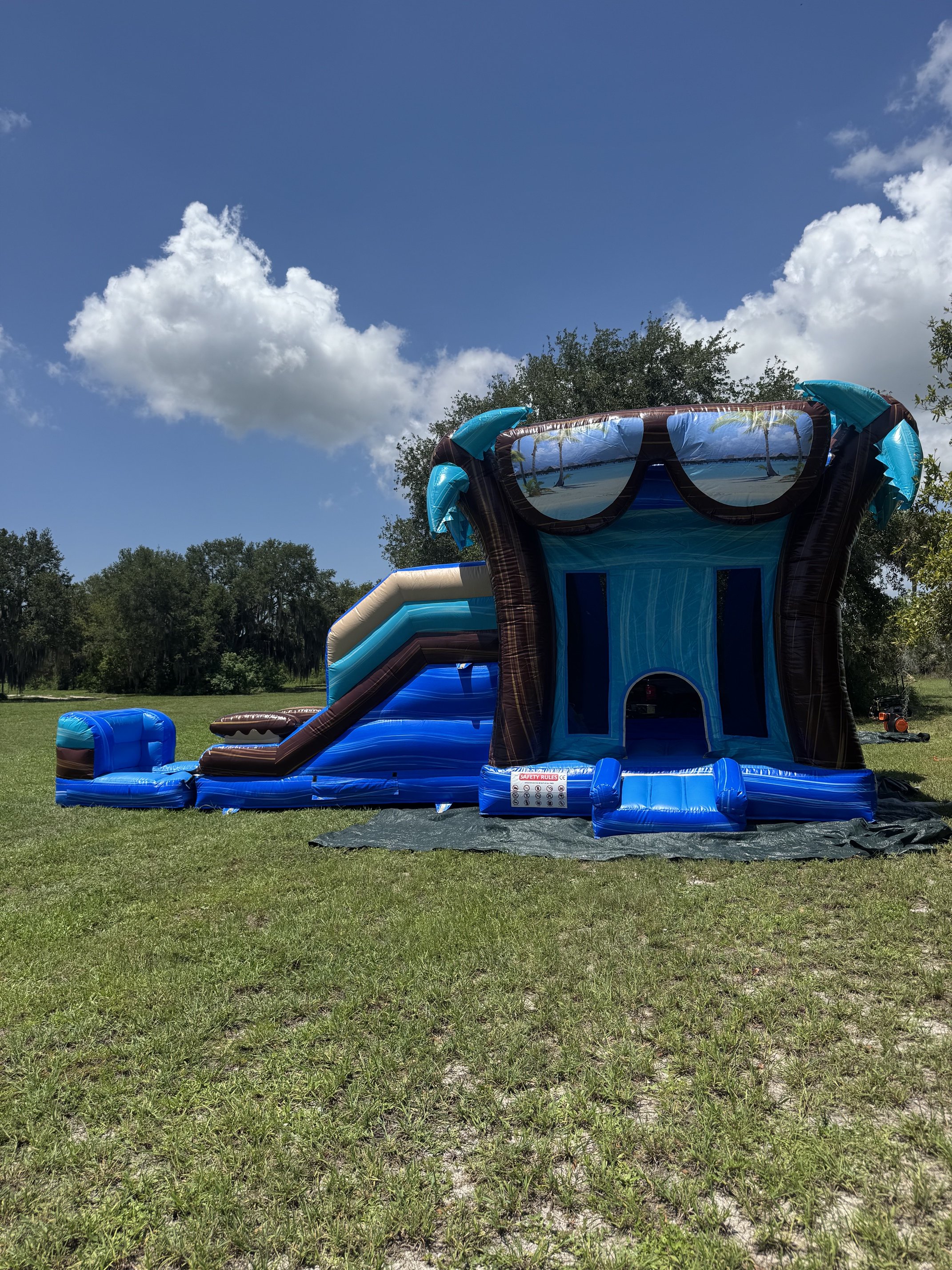 Summer Vibes Combo Bounce House Slide