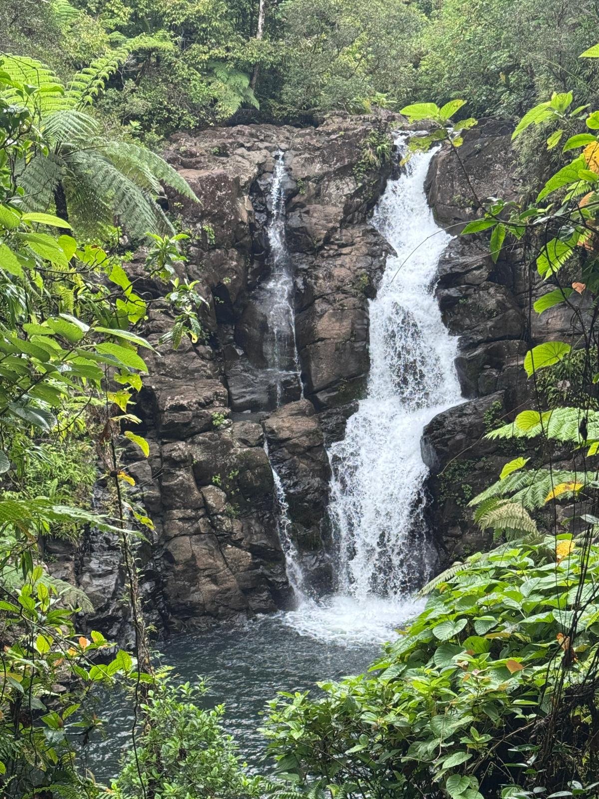 Ucuilagi-Activities-Bouma-Heritage-national-park-middle-fall-Taveuni.jpeg