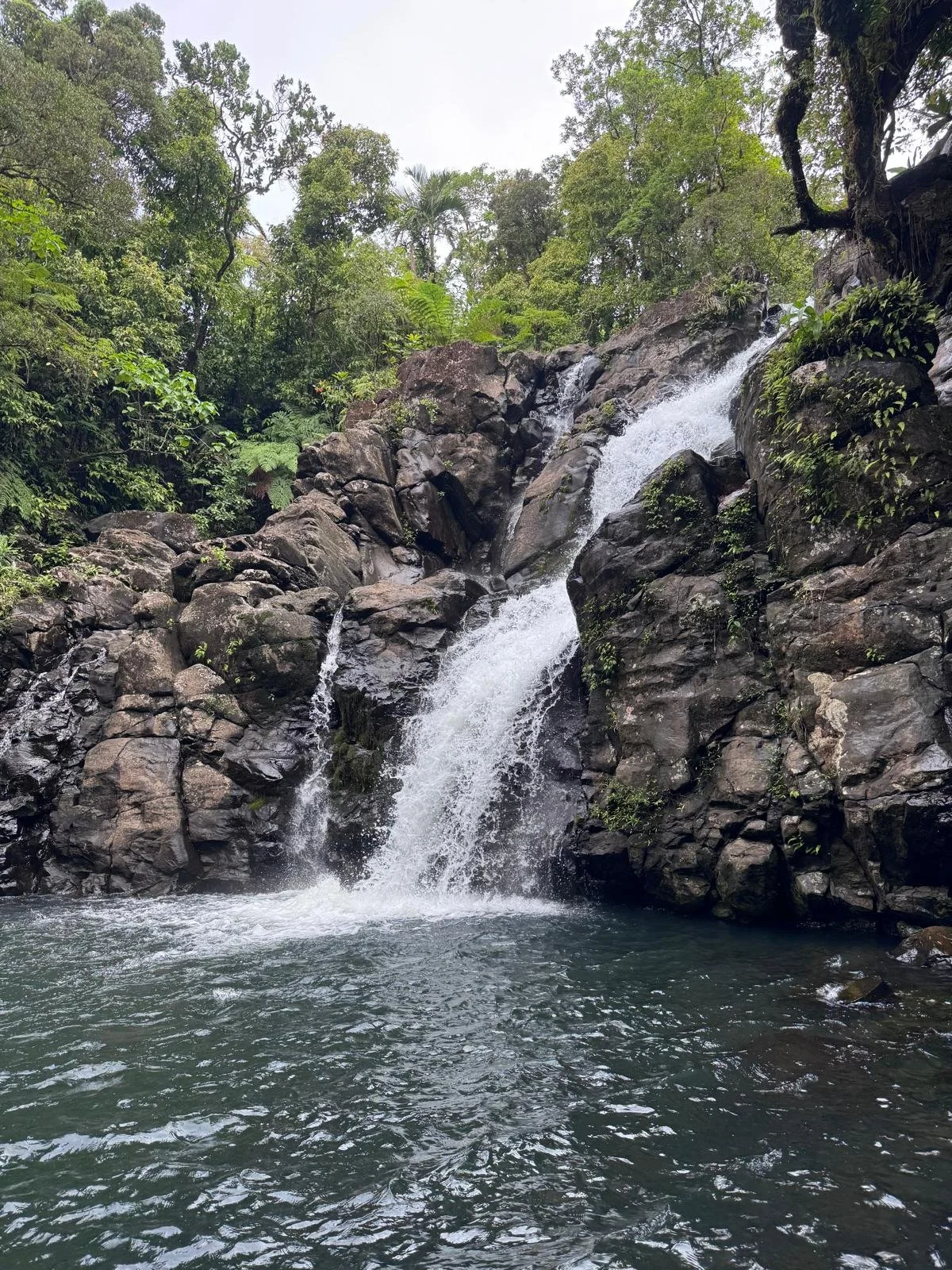 Ucuilagi-Activities-Bouma-Heritage-national-park-upper-fall-Taveuni.jpeg