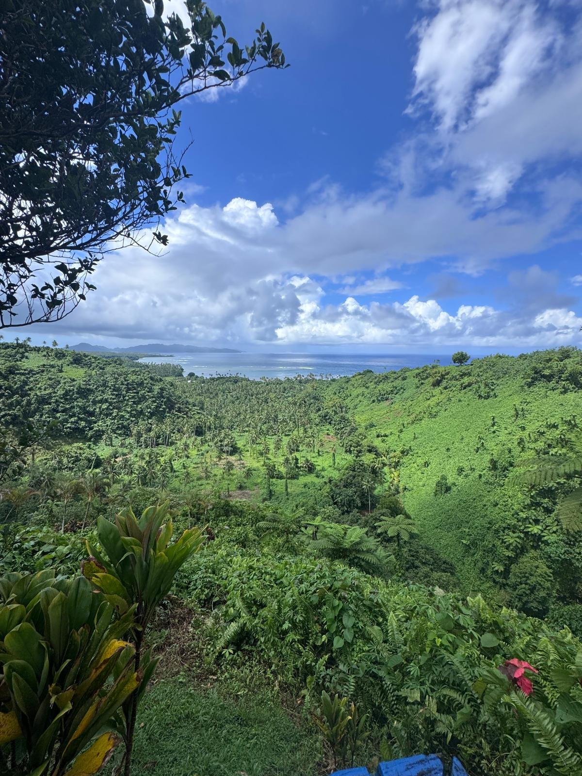 Ucuilagi-Activities-Bouma-Heritage-national-park-view-ocean-Taveuni.jpeg