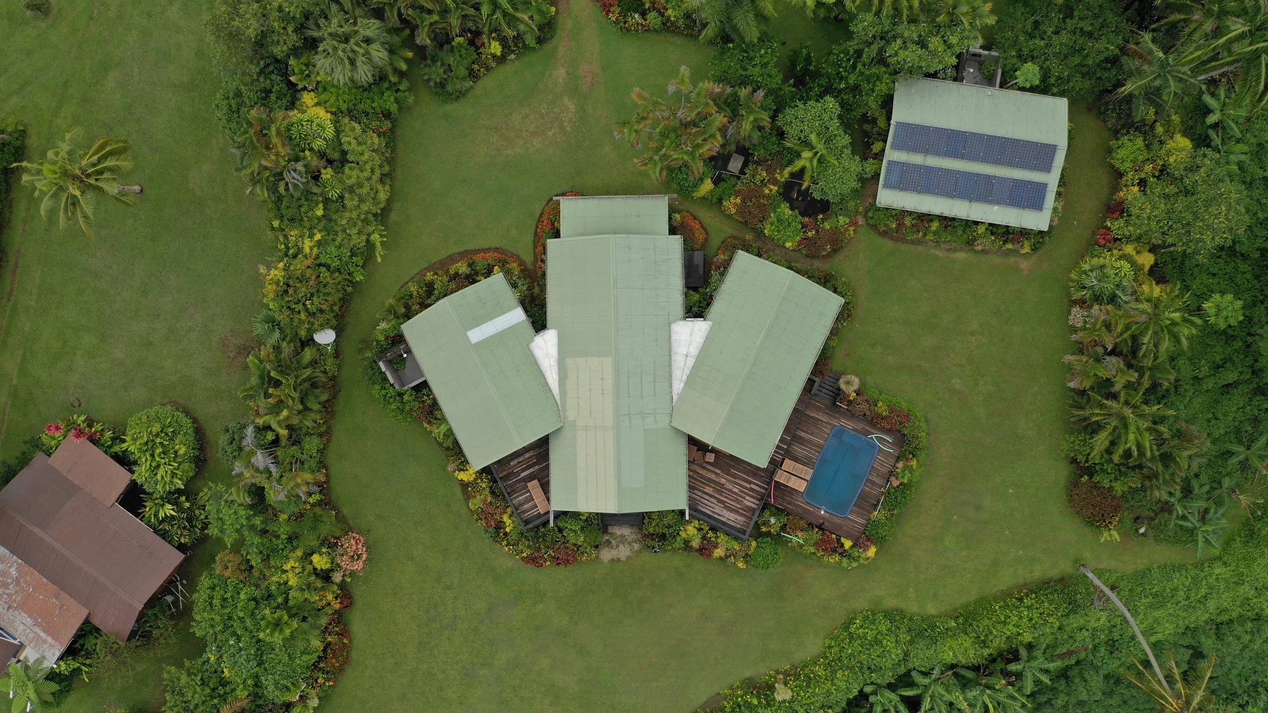 Aerial view of a house with green roof panels, a backyard with a wooden deck, a swimming pool, and surrounded by lush greenery and trees.
