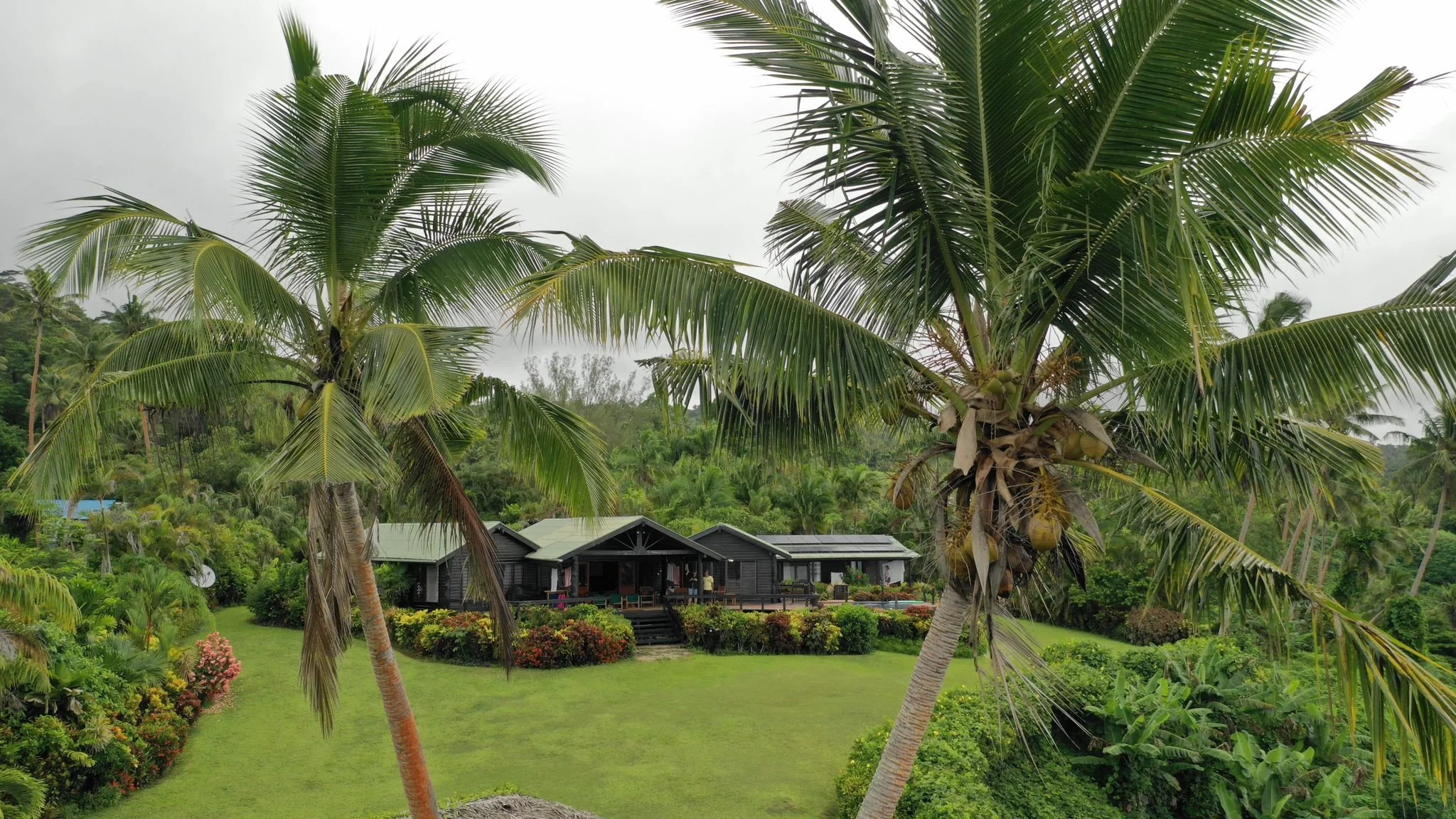 Ucuilagi, Taveuni Island Fiji - Drone shot, looking through palm trees into Tropical garden with a black house with big deck in background.