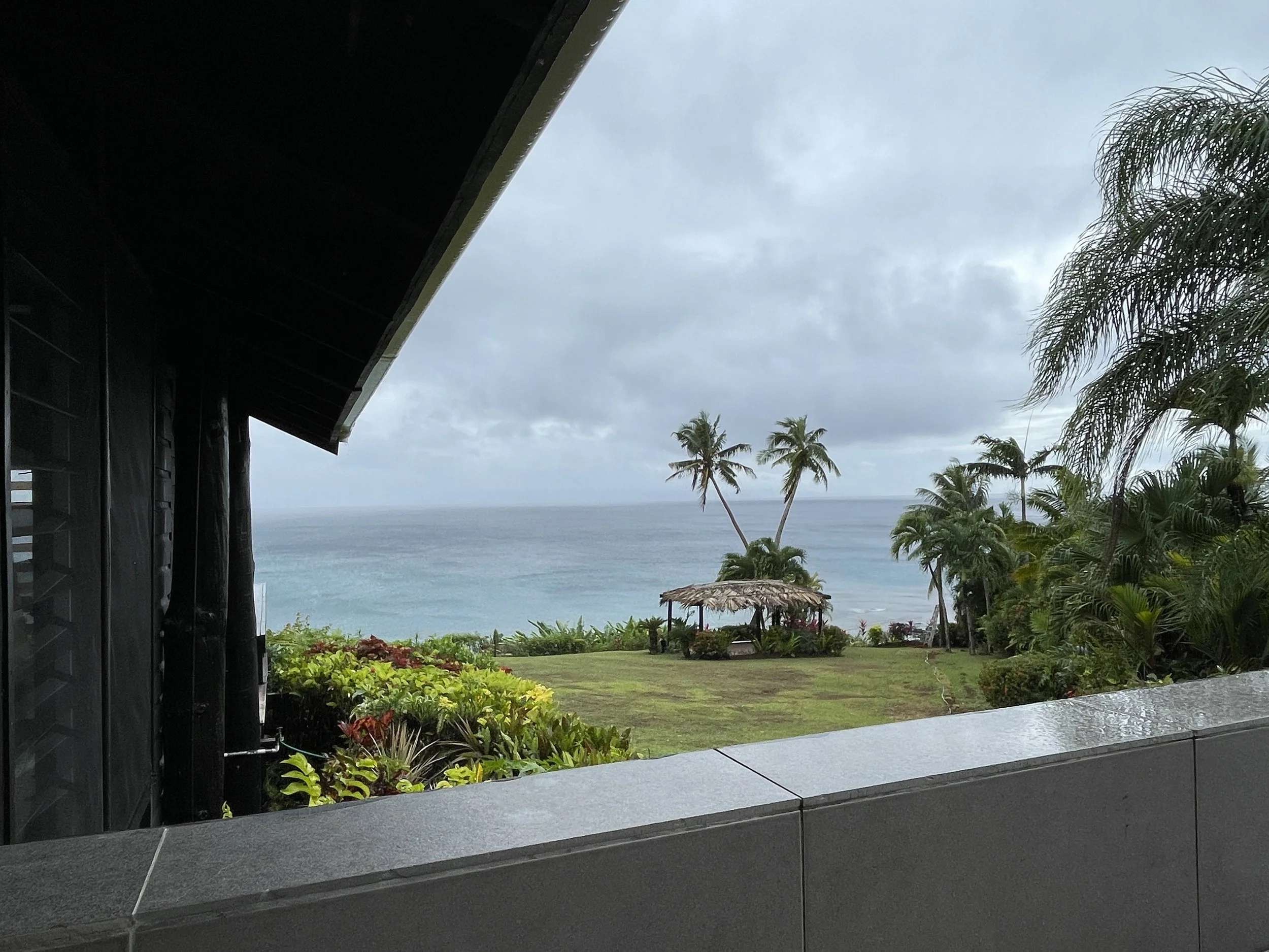 View of a tropical beach scene with palm trees, ocean, and cloudy sky, seen from a balcony.
