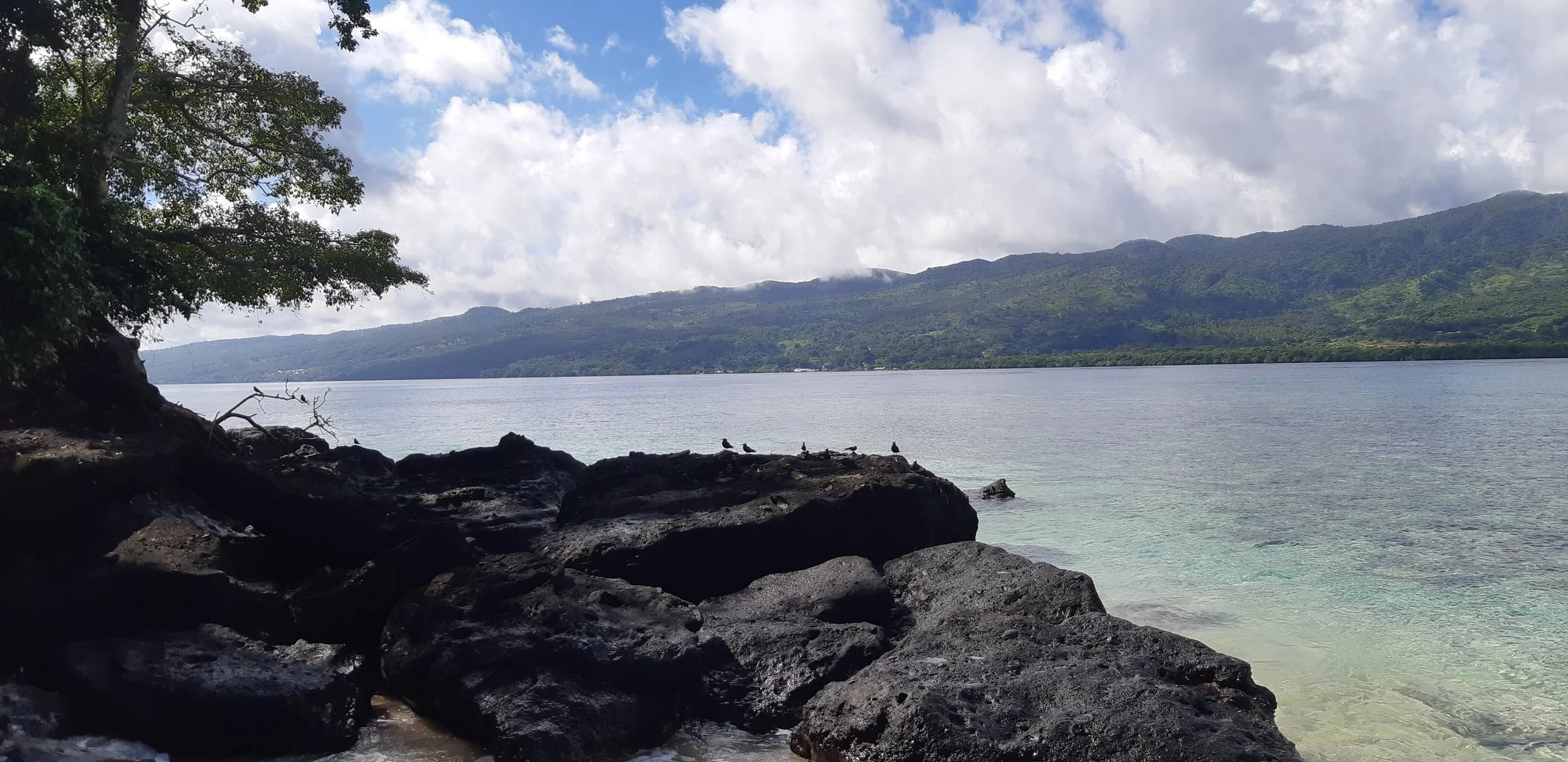 A scenic view of a lake with dark rocks in the foreground, trees on the left, and green mountains in the background under a partly cloudy sky.